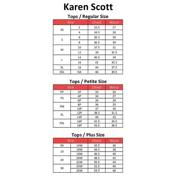 Karen Scott Plus V-Neck Ribbed Pullover Sweater - Picture 5 of 6